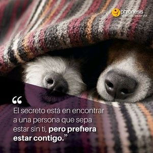 Meet your Posher, Paola